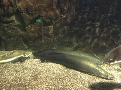 -太平洋海底世界