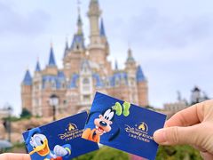 -上海迪士尼度假区