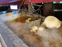 -麻路成都火锅(柏威年店)