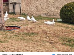 -朝阳公园