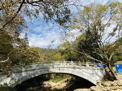 -广州市石门国家森林公园