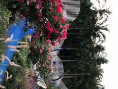 -莲花山公园