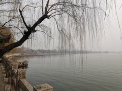 -济南大明湖景区