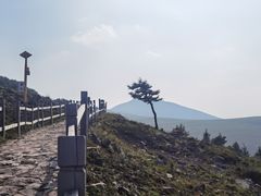 -灵山