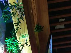 -青藤汗蒸时代会所