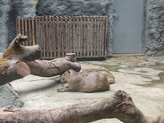 -武汉动物园