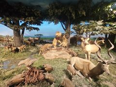 -国家自然博物馆