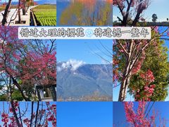 -大理古城