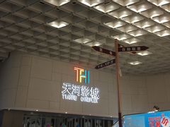 -汉阳天河电影城(王家湾店)