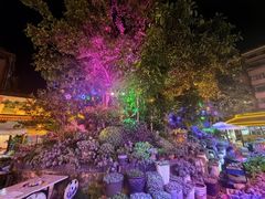 -山菌美食苑(振兴路店)