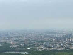 -紫金山山顶公园