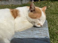 -华东政法大学(松江校区)