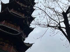 -龙华寺
