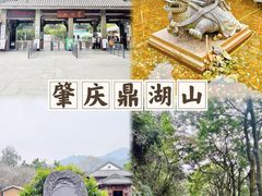 -鼎香皇高佬苏裹蒸粽