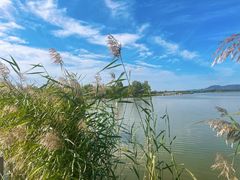 -野鸭湖国家湿地公园