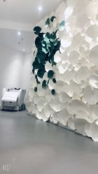 -紫御国际抗衰ZOE ANTI AGING