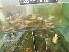 -四海鲜渔家菜(黄金海岸店)