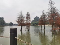 -南宁花花大世界景区