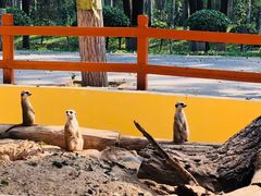 -北京野生动物园