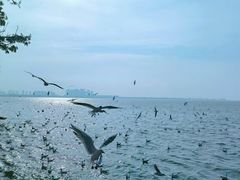 -滇池海埂公园