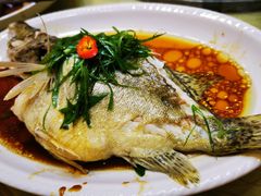 -清新鸡沙田乳鸽店(金融店)