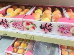 -南汇新场正宗水蜜桃采摘