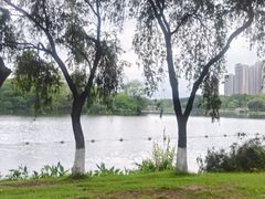 -飞来湖湿地公园