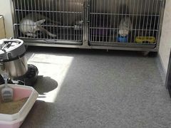 -安安宠医·安宠宠物医院