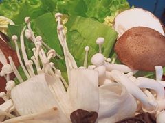 -额尔敦传统涮(公园西路店)