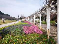 -苏州上方山国家森林公园