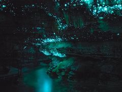 -怀托摩萤火虫洞