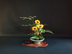 -荷兰布尔玛国际花艺学院