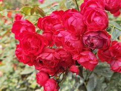 -人民公园(罗湖区)