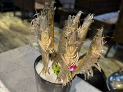 -红辣椒·川菜·火锅(大洋中心店)