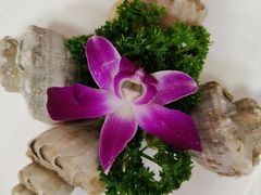 -裕兴酒家·34年老字号