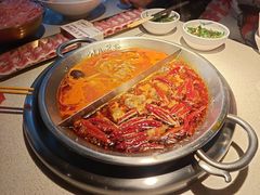 -小龙坎火锅(全球旗舰店)