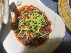 -清真·舒迩布炕锅王·高原美食文化(青海总店)