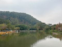 -南沙蒲洲花园