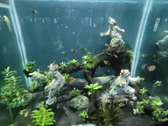 -海合安武汉极地海洋公园
