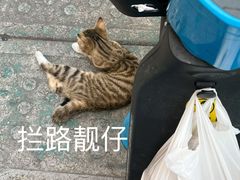 -老潮兴粿品(锦泰店)
