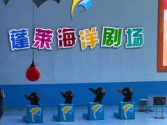 -蓬莱欧乐堡海洋极地世界