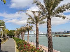 -五缘湾湿地公园