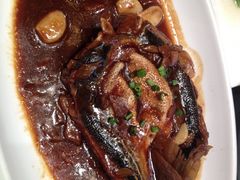 河豚-海景苑海鲜大酒店(吕四店)