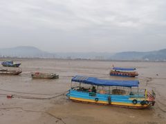 -北岐滩涂