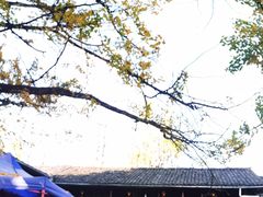 -腾冲国萍农家乐