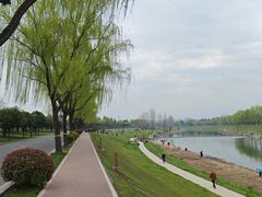 -洨河生态公园