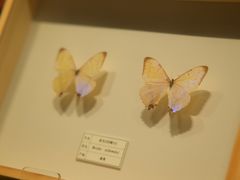 -四川宋瓷博物馆