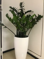 点击看大图 -丰联丽格医疗美容·联合丽格眼整形中心