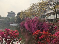 -华农酸奶文化馆
