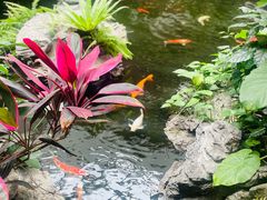 -广州白天鹅宾馆